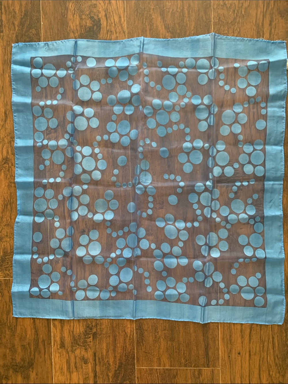 Blue Polka Dot Sheer Scarf